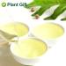Plantgift Jasmine Dragon Pearls Tea 130g - Premium Green Tea & Oolong Blend - Best Jasmine Tea for a Soothing Experience | International Shipping - Buy Online on GoSupps.com