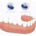 Healvian Denture Brush Toothbrush 3Pcs - Dual Head Hard Cleaning for False Teeth - Buy Online on GoSupps.com