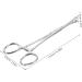 SEWOART Reptile Feeding Clip Lizard Stuff Reptile Tools Gecko Tool Stainless Steel Silver - Buy Online on GoSupps.com