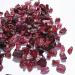 Beautiful Natural Rough Garnet Stones Raw gem Stone Specimen (Color : 100g) - Buy Online on GoSupps.com
