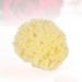 FOMIYES Natural Bath Shower Sponge - Honeycomb Loufah & Face Scrubber for Baby & Body - Eco-Friendly Disposable Sponges for All Skin Types - Buy Online on GoSupps.com