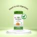 Nature's Way Fenugreek 100 Capsules - Organic Herbal Supplement - Buy Online on GoSupps.com