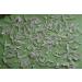 375G Clear Natural Quartz Crystal Points Specimen ningxiao