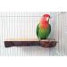Qeeheng Wood Bird Platform Set - 2 Natural Parrot Rods & Flat Playing Stand for Small to Medium Aras - Exercise Toy & Cage Accessories - Buy Online on GoSupps.com