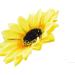 New 2025 Hair Clips For Women New For Fashion Sweet Sunflowers Seaside Duckbill Barrettes Headwear Side Hairpins For Holiday Party Hair Accessories Jewelry Fashion Accessories Creative Gift - Buy Online on GoSupps.com