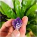 Natural Crystal Cluster Stone Amethyst Quartz Ornaments Beautiful Full of Texture 5PC - Buy Online on GoSupps.com