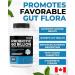 Renew Actives Probiotic Supplement for Digestive Health 60 Billion CFU per 2 Capsules - Advanced Formula with Prebiotic Benefits - Supports Gut Flora Balance & Wellness - Made in Canada - 60 Capsules - Buy Online on GoSupps.com