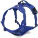 Buy Winhyepet Truelove No-Pull Dog Harness - Reflective & Adjustable - TLH5651 Royal Blue for Small Medium & Large Dogs - Buy Online on GoSupps.com