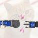 Worded Cat Collars Please Do Not Feed Me/I Am Microchipped | Safe Quick Release Breakaway Buckle | Zacal Cat Collars - Red Please Do Not Feed Me Red Please Do Not Feed Me (Pack of 3) - Buy Online on GoSupps.com