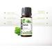 SenseLAB Basil Essential Oil - 100% Pure Therapeutic Grade Extract for Diffuser, Humidifier, Focus, Relaxation, Hair Care, Outdoor Protection - 10ml - Buy Online on GoSupps.com