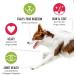 Eva & Wall-e Bully Sticks for Dogs 6" Dog Chew 100g Chews Beef Pizzle Each Package Contains 4 Sticks of 100 gr. 6 Packs of 24 Sticks in Total - Buy Online on GoSupps.com