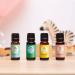 Edens Garden Focus Synergy Blend for Kids - 100% Pure Therapeutic Grade Essential Oil - 5ml - Buy Online on GoSupps.com