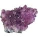 Gift Natural Crystal Stone Amethyst Cluster Original Cluster for Home Decoration QINTINYIN ERBDRGAZ (Size : 300-350g) - Buy Online on GoSupps.com
