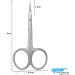 Nail Scissors Professional Cuticle Scissors Extra Strong Straight Curved Manicure Nail Art Scissors (CS-06) - Buy Online on GoSupps.com