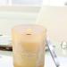 Large Peach Mango Tropical Citrus Candle - Natural Soy Aromatherapy Jar - Long Lasting 10.6 oz Fresh Summer Scent for Home - Perfect Gift for Men & Women - Buy Online on GoSupps.com