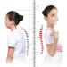 YMGSCC Adjustable Children Posture Corrector Back Orthopedic Corset Spine Lumbar Shoulder Braces(Blue M) Medium Blue - Buy Online on GoSupps.com