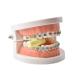 Angzhili Chewy Aligner Orthodontic Sticks - 15 Pcs/5 Box Set with Storage Case - Multi-colored - Buy Online on GoSupps.com