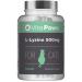 L-Lysine 500mg For Cats By VitaPaws | 90 Sprinkle Capsules | Popularly Chosen For Feline Immunity | Manufactured in the UK