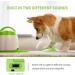 PetGeek Automatic Dog Treat Dispenser - Memory Training Toy - IQ Training Button Feeder - Remote Treat Dispenser - Green - Buy Online on GoSupps.com