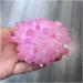 Room Decoration 1pc Natural Crystals Quartz Freeform Stone Room Home Office Aquarium Decoration Accessories Gemstone Beautiful (Size : 700-750g) (Size : 700-750g) - Buy Online on GoSupps.com