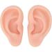 Silicone Ear Model - Simulation Pair for Piercing Practice (Light Skin Color) - Buy Online on GoSupps.com