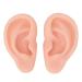 Silicone Reusable Ear Piercing Practice Model - Light Skin Color - Buy Online on GoSupps.com