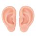 Soft Silicone Ear Model for Beginners - Realistic Ear Piercing Practice & Earring Display Prop (Light Skin) - International Shipping Available - Buy Online on GoSupps.com