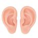 Silicone Ear Model 1 Pair Soft Ear Model for Earrings Display Ear Piercing Exercise Flexible Simulation Body Part Displays for Acupuncture Human Model Jewelry Display (Light Skin Color)