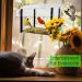 FGXY Window Bird Feeder, Birds House Balcony for Outdoor with Strong Suction Cups Drinking Water Sink Bird Watching Clear Bird Feeder for Window for Wild Bird Small Bird - Buy Online on GoSupps.com