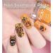 KADS Halloween Nail Art Stamping Kit - Pumpkin Ghost Skull Bat Image Plates (HA007) - Buy Online on GoSupps.com