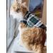 YAODHAOD Dog Plaid Shirt Pet Fashion Plaid Shirt Pet Dog Clothes Cat Plaid Clothes Shirt Soft and Comfortable (green S) - Buy Online on GoSupps.com