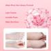 Buy Thailand Treechada Adjust Skin Yellowness Cream & V7 Lazy Cream Makeup Primer - 50g | Best International Shipping - Buy Online on GoSupps.com
