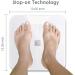 iHealth Nexus Body Fat Scale - Smart BMI Digital Bathroom Weight Scale with App, 400 lbs - White - Buy Online on GoSupps.com
