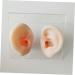 Silicone Ear Picking Tunnels - 1 Pair | Ear Cleaning Practice Tools and Simulation Model - Buy Online on GoSupps.com