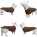 Lovelonglong Pet Clothing Dog Costumes Dachshund Clothes Blank T-Shirt Tee Shirts for Dachshund Dogs Corgi 100% Cotton Coffee D-XL D-XL (for Dachshund -30lbs) Coffee - Buy Online on GoSupps.com