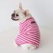 Classic Striped Pajamas for Dogs & Cats - Bt Bear Fat - Soft Cotton Costume for Pugs French Bulldogs & Small Breeds - Medium Hot Pink - Buy Online on GoSupps.com