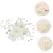 POPETPOP 1 PC Hair Comb Attractive Head-wear Sweet Hair Supply Bridal Wedding Accessory Wedding Dress Accessory Creative Hair Prop Alloy Bridal Headdress Bridal Hair Supply Alloy Hair Prop - Buy Online on GoSupps.com