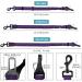 Corooci Dog Seat Belt 2021 Newest 2-in-1 DESIGN Latch Bar Attachment Pet Car Seatbelt Metal Buckle Elastic Buffered Reflective Nylon Belt Tether for Dogs Safety Belt Harness for Travel Daily Use(Purple) Purple 2 PACK - Buy Online on GoSupps.com