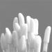300 Disposable Lip Brushes - Essential Lip Gloss Wands & Lipstick Applicators for Flawless Application - Buy Online on GoSupps.com