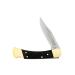Buck Knives 110 Folding Hunter Lock-back Knife, Brass Bolsters, Ebony Handles, 3-3/4" 420HC Blade with Leather Sheath