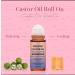 Organic Castor Oil with Rose Quartz Roller Castor Oil Roll-On with Rose Quartz for Skin Brows & Lashes 1.7 fl oz 100% Pure Cold-Pressed Hexane-Free (1 pcs) - Buy Online on GoSupps.com