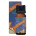Absolute Aromas Refresh Blend Oil 10ml