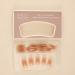 24Pcs/Set Press On Nails Light Sugar Chestnut Long False Nails Acrylic Fake Nails Full Cover Nails Tips Artificial Finger Manicure Press on nails for Women and Girls - Buy Online on GoSupps.com