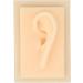 Human Ear Model - Comfortable Lightweight Soft Silicone for Teaching Demonstrations (Left) - International Shipping Available - Buy Online on GoSupps.com