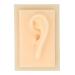 Silicone Ear Model Vivid Shape Durable Wearable Comfortable Soft Human Ear Model Glossy Texture Safe Practical for Teaching Demonstration(Left) - Buy Online on GoSupps.com