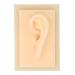 Earl model silicone acupuncture exercise model human ear in natural size shiny texture lively shape comfortably soft human ear model for teaching (left)