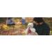 WubbaNub Baby Fox Pacifier for Infants 0-6 Months | Soft & Soothing - Buy Online on GoSupps.com