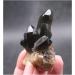 Meditation Home Decor Natural Black Quartz Crystal Cluster Natural ore Sample Stone Healing Crystal for Home Decoration Collection and Gift Meditation Reiki 80g-100g Black - Buy Online on GoSupps.com