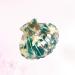 Lurrose Green Shell Shape Hair Clip for Women | Stylish Ponytail Holder & Hair Accessories - Buy Online on GoSupps.com