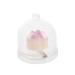 Healvian Color Changing Cat Paw Lip Cream for Women Adaptive Moisturizing with Color Primer Function for Autumn Winter Lip Care
